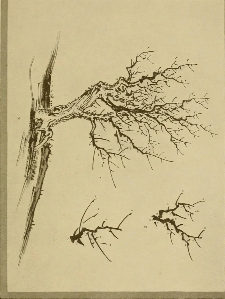 An illustration from On the laws of Japanese painting : an introduction to the study of the art of Japan, 1911, leaf 192
