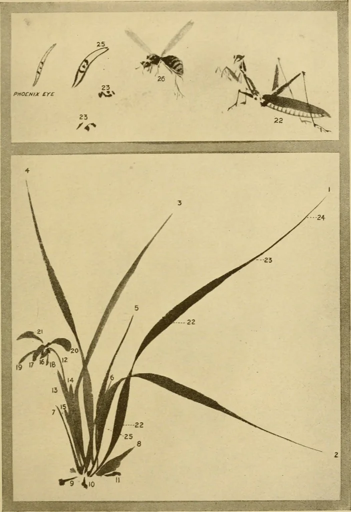 An illustration from On the laws of Japanese painting : an introduction to the study of the art of Japan, 1911, leaf 226