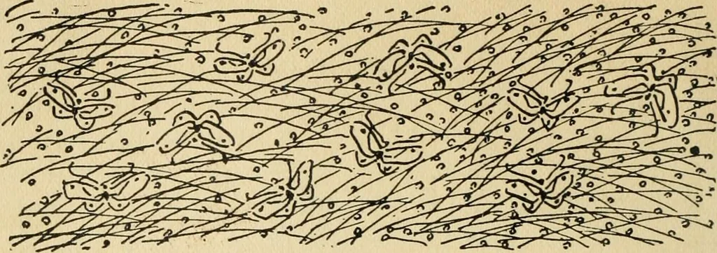 An illustration from On the laws of Japanese painting : an introduction to the study of the art of Japan, 1911, leaf 69