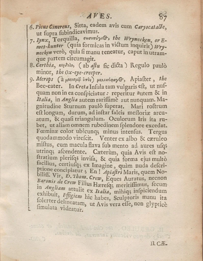 An illustration from Onomasticon zoicon, plerorumque animalium differentias & nomina propria pluribus linguis exponens : cui accedunt Mantissa anatomica, et quaedam De variis fossilium generibus, 1668, leaf 121