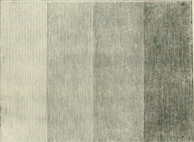 An illustration from On the philosophy of painting: a theoretical and practical treatise.., 1849, leaf 204