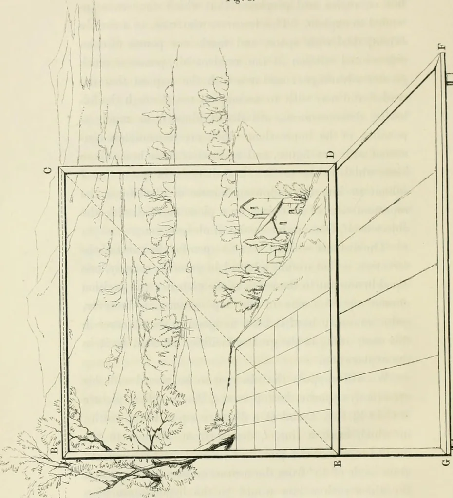 An illustration from On the philosophy of painting: a theoretical and practical treatise.., 1849, leaf 387