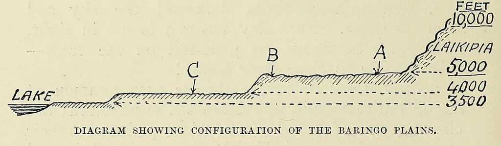 An illustration from On safari : big game hunting in British East Africa with studies in bird-life, 1908, leaf 138