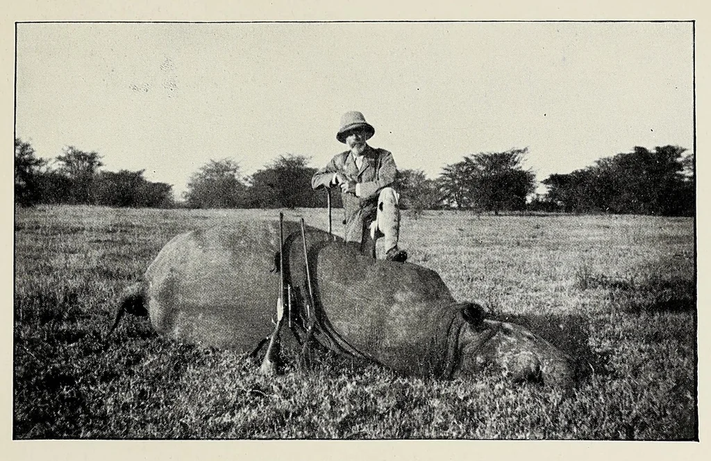 An illustration from On safari : big game hunting in British East Africa with studies in bird-life, 1908, leaf 197