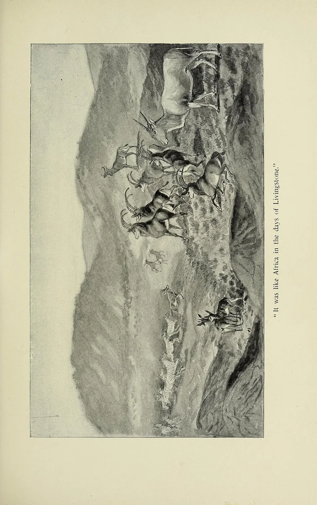 An illustration from On the South African frontier : the adventures and observations of an American in Mashonaland and Matabeleland, 1899, leaf 163