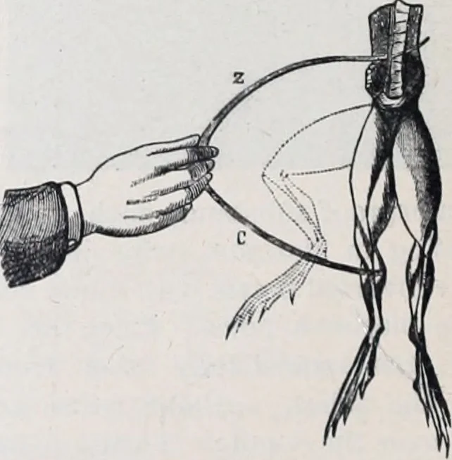 An illustration from The high school physics, 1887, leaf 235