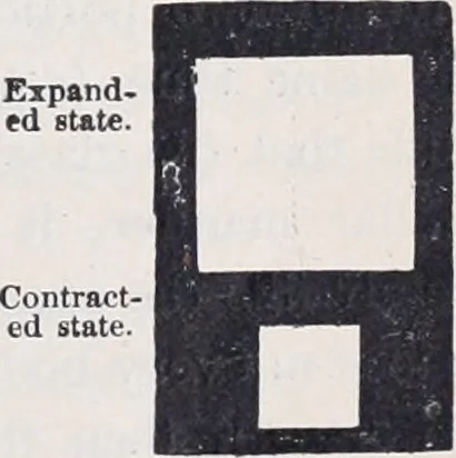 An illustration from The high school physics, 1887, leaf 24