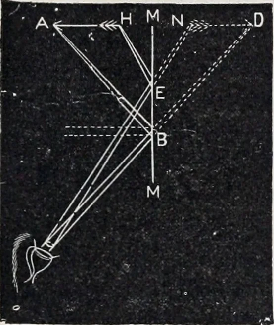 An illustration from The high school physics, 1887, leaf 362