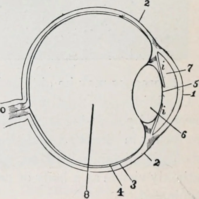 An illustration from The high school physics, 1887, leaf 391