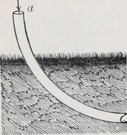 An illustration from The high school physics, 1887, leaf 81