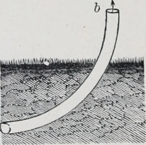 An illustration from The high school physics, 1887, leaf 81
