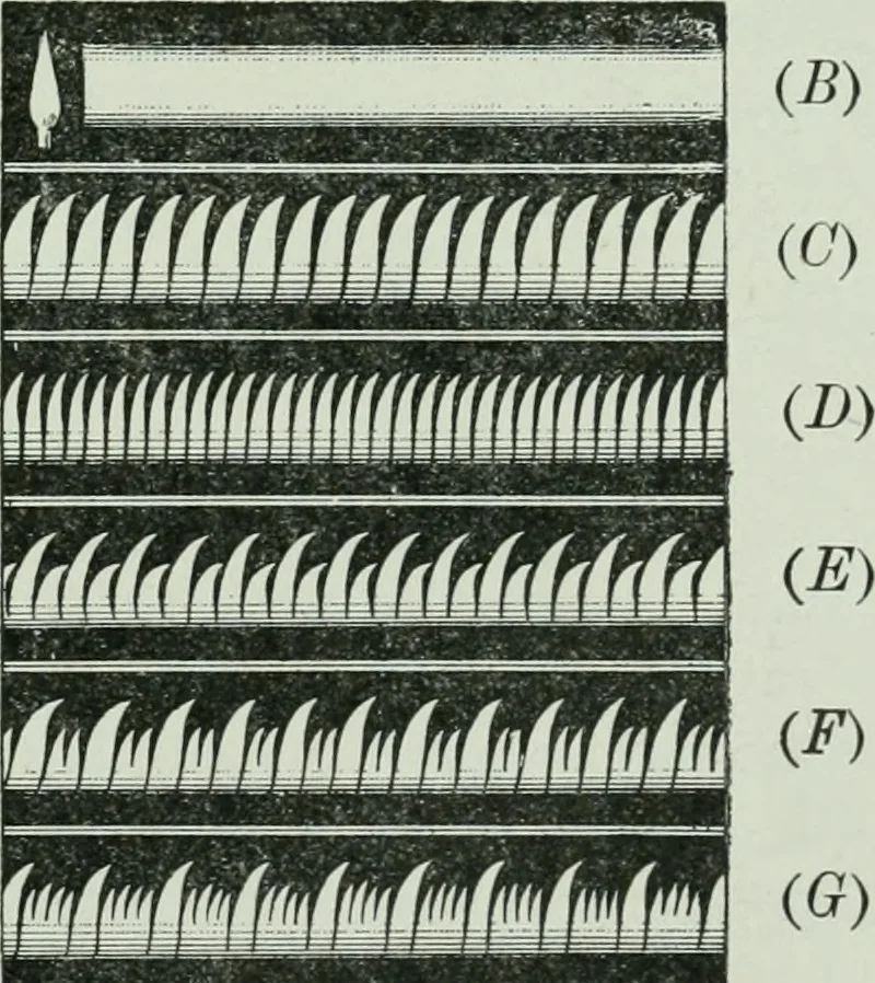 An illustration from The Ontario high school physics, 1917, leaf 212