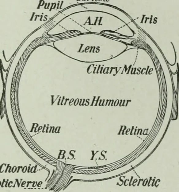 An illustration from The Ontario high school physics, 1917, leaf 367