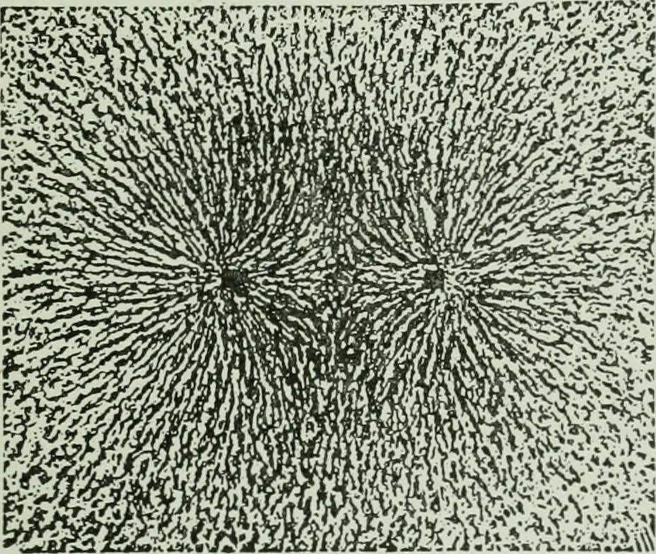 An illustration from The Ontario high school physics, 1917, leaf 382