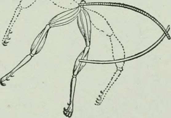 An illustration from The Ontario high school physics, 1917, leaf 408