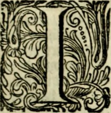 An illustration from Oorsprongk, Begin, en Vervolgh der Nederlandsche Oorlogen, beroerten, en Borgerlyke Oneenigheden : beginnende met d'opdracht der selve Landen, gedaen by Keyser Karel den Vijfden, aen sijnen Soon Konink Philippus van Spanjen, en eindigende met het einde van 't jaer M D C, 1679, leaf 1128