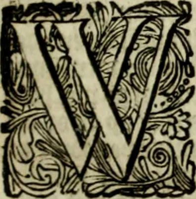 An illustration from Oorsprongk, Begin, en Vervolgh der Nederlandsche Oorlogen, beroerten, en Borgerlyke Oneenigheden : beginnende met d'opdracht der selve Landen, gedaen by Keyser Karel den Vijfden, aen sijnen Soon Konink Philippus van Spanjen, en eindigende met het einde van 't jaer M D C, 1679, leaf 160