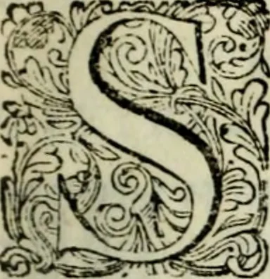 An illustration from Oorsprongk, Begin, en Vervolgh der Nederlandsche Oorlogen, beroerten, en Borgerlyke Oneenigheden : beginnende met d'opdracht der selve Landen, gedaen by Keyser Karel den Vijfden, aen sijnen Soon Konink Philippus van Spanjen, en eindigende met het einde van 't jaer M D C, 1679, leaf 20