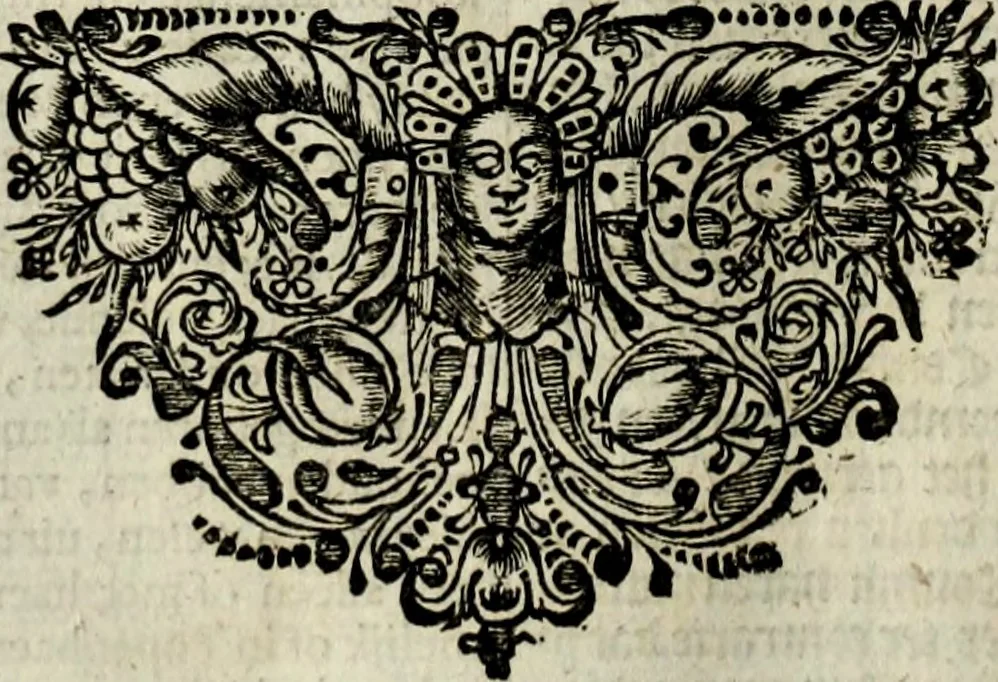 An illustration from Oorsprongk, Begin, en Vervolgh der Nederlandsche Oorlogen, beroerten, en Borgerlyke Oneenigheden : beginnende met d'opdracht der selve Landen, gedaen by Keyser Karel den Vijfden, aen sijnen Soon Konink Philippus van Spanjen, en eindigende met het einde van 't jaer M D C, 1679, leaf 227
