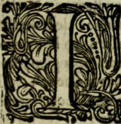An illustration from Oorsprongk, Begin, en Vervolgh der Nederlandsche Oorlogen, beroerten, en Borgerlyke Oneenigheden : beginnende met d'opdracht der selve Landen, gedaen by Keyser Karel den Vijfden, aen sijnen Soon Konink Philippus van Spanjen, en eindigende met het einde van 't jaer M D C, 1679, leaf 228