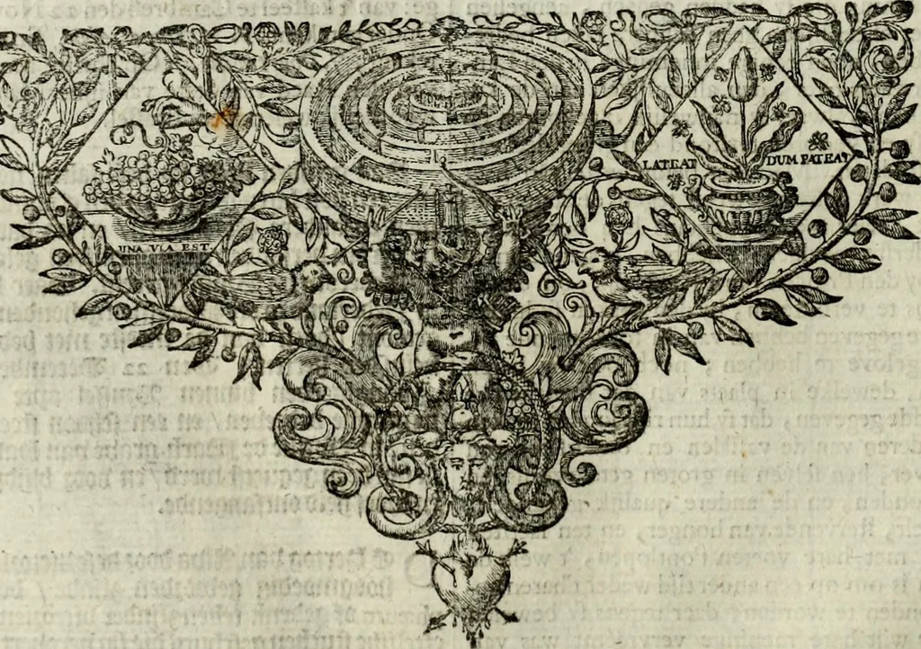An illustration from Oorsprongk, Begin, en Vervolgh der Nederlandsche Oorlogen, beroerten, en Borgerlyke Oneenigheden : beginnende met d'opdracht der selve Landen, gedaen by Keyser Karel den Vijfden, aen sijnen Soon Konink Philippus van Spanjen, en eindigende met het einde van 't jaer M D C, 1679, leaf 317