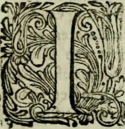 An illustration from Oorsprongk, Begin, en Vervolgh der Nederlandsche Oorlogen, beroerten, en Borgerlyke Oneenigheden : beginnende met d'opdracht der selve Landen, gedaen by Keyser Karel den Vijfden, aen sijnen Soon Konink Philippus van Spanjen, en eindigende met het einde van 't jaer M D C, 1679, leaf 318