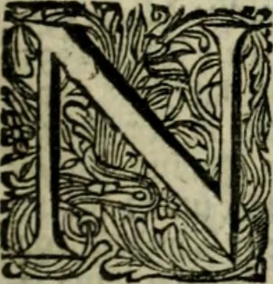 An illustration from Oorsprongk, Begin, en Vervolgh der Nederlandsche Oorlogen, beroerten, en Borgerlyke Oneenigheden : beginnende met d'opdracht der selve Landen, gedaen by Keyser Karel den Vijfden, aen sijnen Soon Konink Philippus van Spanjen, en eindigende met het einde van 't jaer M D C, 1679, leaf 36
