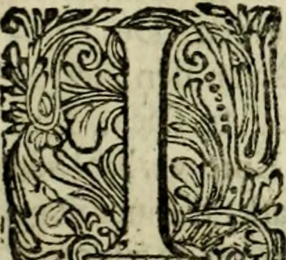 An illustration from Oorsprongk, Begin, en Vervolgh der Nederlandsche Oorlogen, beroerten, en Borgerlyke Oneenigheden : beginnende met d'opdracht der selve Landen, gedaen by Keyser Karel den Vijfden, aen sijnen Soon Konink Philippus van Spanjen, en eindigende met het einde van 't jaer M D C, 1679, leaf 414