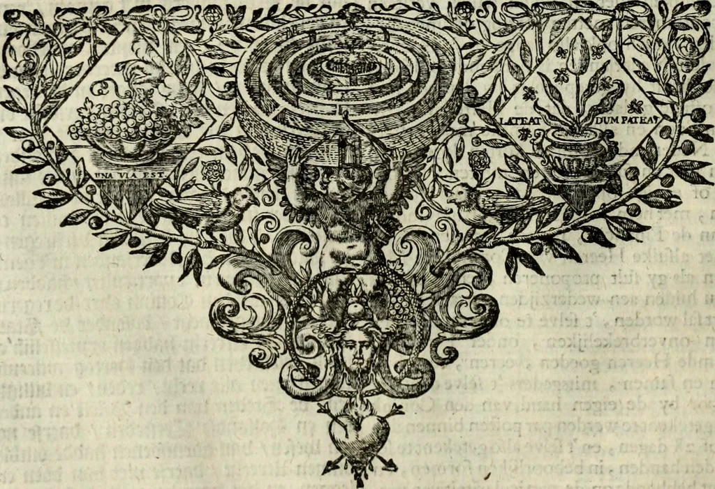 An illustration from Oorsprongk, Begin, en Vervolgh der Nederlandsche Oorlogen, beroerten, en Borgerlyke Oneenigheden : beginnende met d'opdracht der selve Landen, gedaen by Keyser Karel den Vijfden, aen sijnen Soon Konink Philippus van Spanjen, en eindigende met het einde van 't jaer M D C, 1679, leaf 555