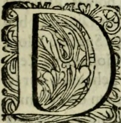 An illustration from Oorsprongk, Begin, en Vervolgh der Nederlandsche Oorlogen, beroerten, en Borgerlyke Oneenigheden : beginnende met d'opdracht der selve Landen, gedaen by Keyser Karel den Vijfden, aen sijnen Soon Konink Philippus van Spanjen, en eindigende met het einde van 't jaer M D C, 1679, leaf 556