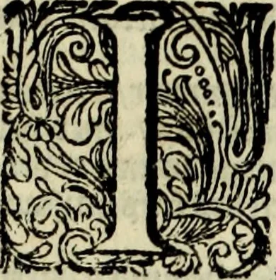 An illustration from Oorsprongk, Begin, en Vervolgh der Nederlandsche Oorlogen, beroerten, en Borgerlyke Oneenigheden : beginnende met d'opdracht der selve Landen, gedaen by Keyser Karel den Vijfden, aen sijnen Soon Konink Philippus van Spanjen, en eindigende met het einde van 't jaer M D C, 1679, leaf 1063