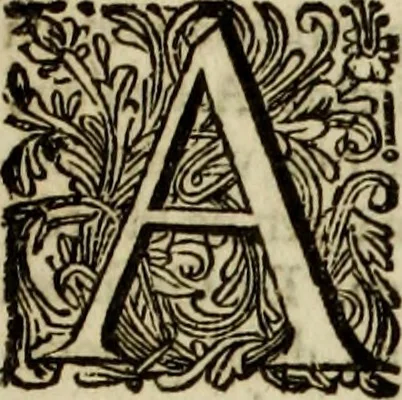 An illustration from Oorsprongk, Begin, en Vervolgh der Nederlandsche Oorlogen, beroerten, en Borgerlyke Oneenigheden : beginnende met d'opdracht der selve Landen, gedaen by Keyser Karel den Vijfden, aen sijnen Soon Konink Philippus van Spanjen, en eindigende met het einde van 't jaer M D C, 1679, leaf 18