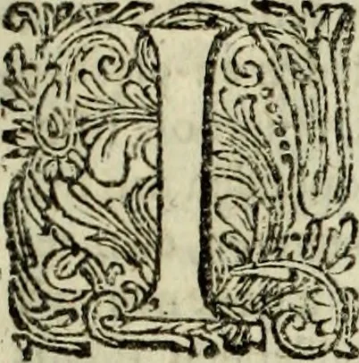 An illustration from Oorsprongk, Begin, en Vervolgh der Nederlandsche Oorlogen, beroerten, en Borgerlyke Oneenigheden : beginnende met d'opdracht der selve Landen, gedaen by Keyser Karel den Vijfden, aen sijnen Soon Konink Philippus van Spanjen, en eindigende met het einde van 't jaer M D C, 1679, leaf 254