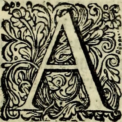 An illustration from Oorsprongk, Begin, en Vervolgh der Nederlandsche Oorlogen, beroerten, en Borgerlyke Oneenigheden : beginnende met d'opdracht der selve Landen, gedaen by Keyser Karel den Vijfden, aen sijnen Soon Konink Philippus van Spanjen, en eindigende met het einde van 't jaer M D C, 1679, leaf 484
