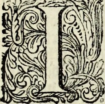 An illustration from Oorsprongk, Begin, en Vervolgh der Nederlandsche Oorlogen, beroerten, en Borgerlyke Oneenigheden : beginnende met d'opdracht der selve Landen, gedaen by Keyser Karel den Vijfden, aen sijnen Soon Konink Philippus van Spanjen, en eindigende met het einde van 't jaer M D C, 1679, leaf 487