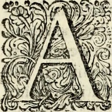 An illustration from Oorsprongk, Begin, en Vervolgh der Nederlandsche Oorlogen, beroerten, en Borgerlyke Oneenigheden : beginnende met d'opdracht der selve Landen, gedaen by Keyser Karel den Vijfden, aen sijnen Soon Konink Philippus van Spanjen, en eindigende met het einde van 't jaer M D C, 1679, leaf 489