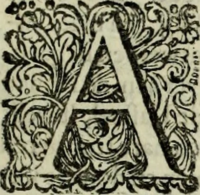 An illustration from Oorsprongk, Begin, en Vervolgh der Nederlandsche Oorlogen, beroerten, en Borgerlyke Oneenigheden : beginnende met d'opdracht der selve Landen, gedaen by Keyser Karel den Vijfden, aen sijnen Soon Konink Philippus van Spanjen, en eindigende met het einde van 't jaer M D C, 1679, leaf 603