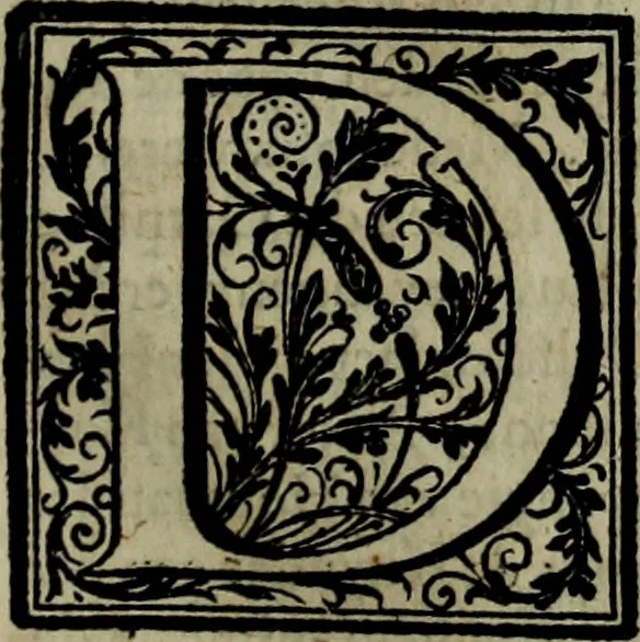An illustration from Oorsprongk, Begin, en Vervolgh der Nederlandsche Oorlogen, beroerten, en Borgerlyke Oneenigheden : beginnende met d'opdracht der selve Landen, gedaen by Keyser Karel den Vijfden, aen sijnen Soon Konink Philippus van Spanjen, en eindigende met het einde van 't jaer M D C, 1679, leaf 166