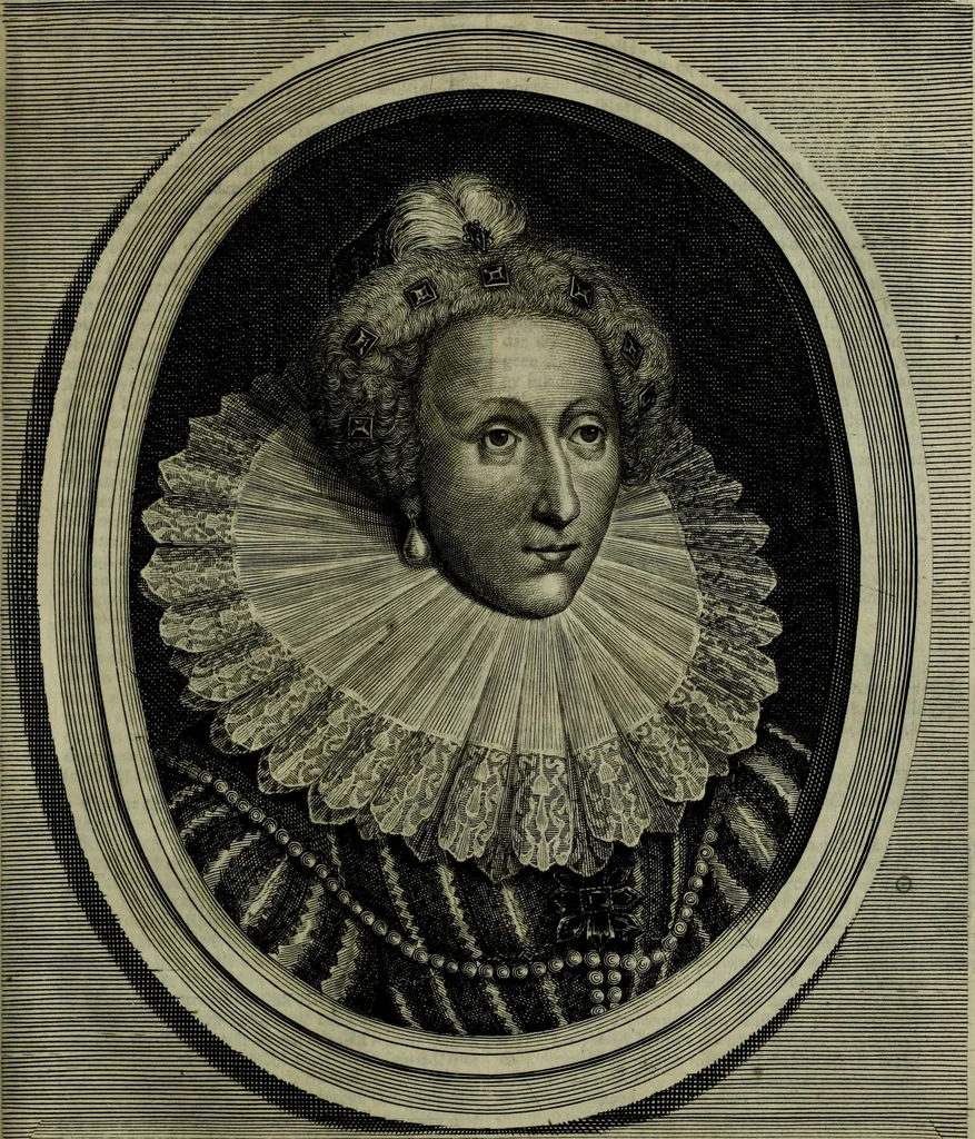 An illustration from Oorsprongk, Begin, en Vervolgh der Nederlandsche Oorlogen, beroerten, en Borgerlyke Oneenigheden : beginnende met d'opdracht der selve Landen, gedaen by Keyser Karel den Vijfden, aen sijnen Soon Konink Philippus van Spanjen, en eindigende met het einde van 't jaer M D C, 1679, leaf 252