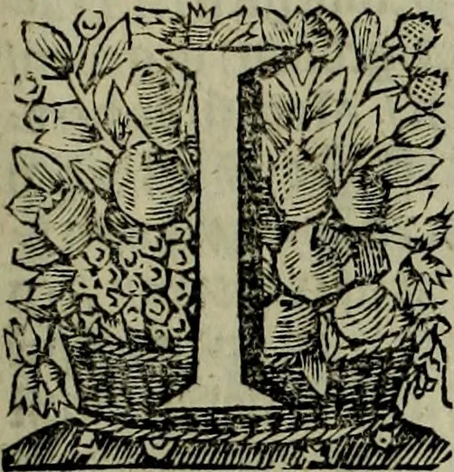 An illustration from Oorsprongk, Begin, en Vervolgh der Nederlandsche Oorlogen, beroerten, en Borgerlyke Oneenigheden : beginnende met d'opdracht der selve Landen, gedaen by Keyser Karel den Vijfden, aen sijnen Soon Konink Philippus van Spanjen, en eindigende met het einde van 't jaer M D C, 1679, leaf 572