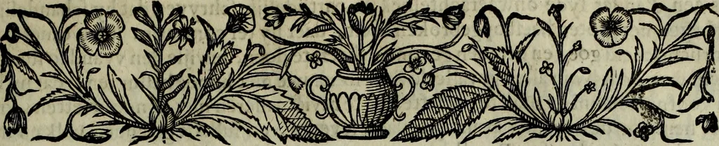 An illustration from Oorsprongk, Begin, en Vervolgh der Nederlandsche Oorlogen, beroerten, en Borgerlyke Oneenigheden : beginnende met d'opdracht der selve Landen, gedaen by Keyser Karel den Vijfden, aen sijnen Soon Konink Philippus van Spanjen, en eindigende met het einde van 't jaer M D C, 1679, leaf 574