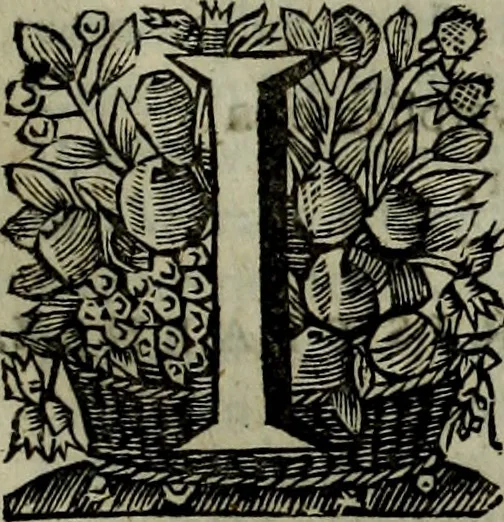 An illustration from Oorsprongk, Begin, en Vervolgh der Nederlandsche Oorlogen, beroerten, en Borgerlyke Oneenigheden : beginnende met d'opdracht der selve Landen, gedaen by Keyser Karel den Vijfden, aen sijnen Soon Konink Philippus van Spanjen, en eindigende met het einde van 't jaer M D C, 1679, leaf 574