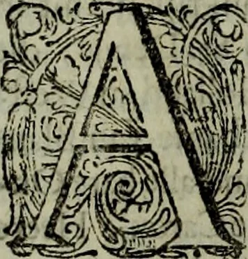 An illustration from Oorsprongk, Begin, en Vervolgh der Nederlandsche Oorlogen, beroerten, en Borgerlyke Oneenigheden : beginnende met d'opdracht der selve Landen, gedaen by Keyser Karel den Vijfden, aen sijnen Soon Konink Philippus van Spanjen, en eindigende met het einde van 't jaer M D C, 1679, leaf 576