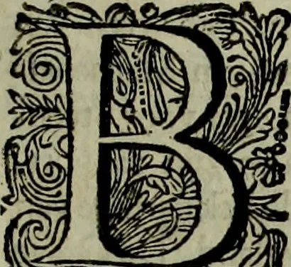 An illustration from Oorsprongk, Begin, en Vervolgh der Nederlandsche Oorlogen, beroerten, en Borgerlyke Oneenigheden : beginnende met d'opdracht der selve Landen, gedaen by Keyser Karel den Vijfden, aen sijnen Soon Konink Philippus van Spanjen, en eindigende met het einde van 't jaer M D C, 1679, leaf 648