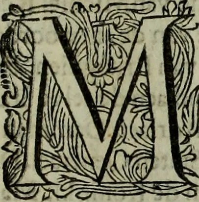 An illustration from Oorsprongk, Begin, en Vervolgh der Nederlandsche Oorlogen, beroerten, en Borgerlyke Oneenigheden : beginnende met d'opdracht der selve Landen, gedaen by Keyser Karel den Vijfden, aen sijnen Soon Konink Philippus van Spanjen, en eindigende met het einde van 't jaer M D C, 1679, leaf 828