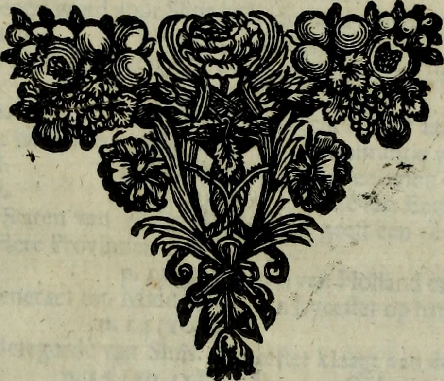 An illustration from Oorsprongk, Begin, en Vervolgh der Nederlandsche Oorlogen, beroerten, en Borgerlyke Oneenigheden : beginnende met d'opdracht der selve Landen, gedaen by Keyser Karel den Vijfden, aen sijnen Soon Konink Philippus van Spanjen, en eindigende met het einde van 't jaer M D C, 1679, leaf 956
