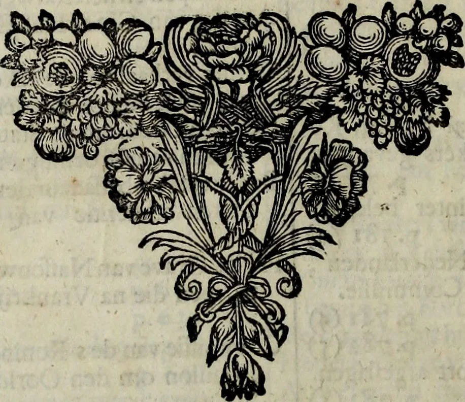 An illustration from Oorsprongk, Begin, en Vervolgh der Nederlandsche Oorlogen, beroerten, en Borgerlyke Oneenigheden : beginnende met d'opdracht der selve Landen, gedaen by Keyser Karel den Vijfden, aen sijnen Soon Konink Philippus van Spanjen, en eindigende met het einde van 't jaer M D C, 1679, leaf 965