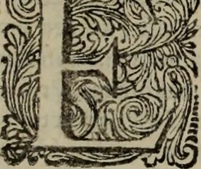 An illustration from Oorsprongk, Begin, en Vervolgh der Nederlandsche Oorlogen, beroerten, en Borgerlyke Oneenigheden : beginnende met d'opdracht der selve Landen, gedaen by Keyser Karel den Vijfden, aen sijnen Soon Konink Philippus van Spanjen, en eindigende met het einde van 't jaer M D C, 1679, leaf 16