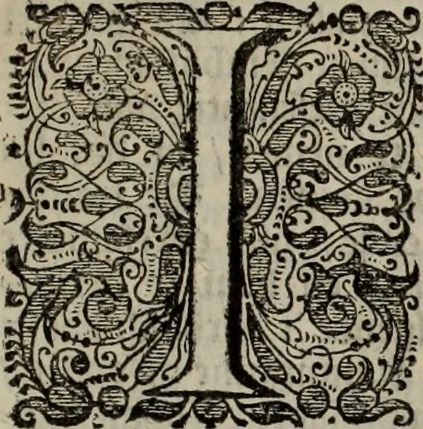 An illustration from Oorsprongk, Begin, en Vervolgh der Nederlandsche Oorlogen, beroerten, en Borgerlyke Oneenigheden : beginnende met d'opdracht der selve Landen, gedaen by Keyser Karel den Vijfden, aen sijnen Soon Konink Philippus van Spanjen, en eindigende met het einde van 't jaer M D C, 1679, leaf 179