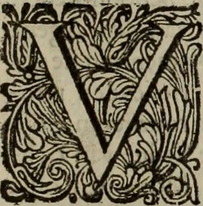 An illustration from Oorsprongk, Begin, en Vervolgh der Nederlandsche Oorlogen, beroerten, en Borgerlyke Oneenigheden : beginnende met d'opdracht der selve Landen, gedaen by Keyser Karel den Vijfden, aen sijnen Soon Konink Philippus van Spanjen, en eindigende met het einde van 't jaer M D C, 1679, leaf 183